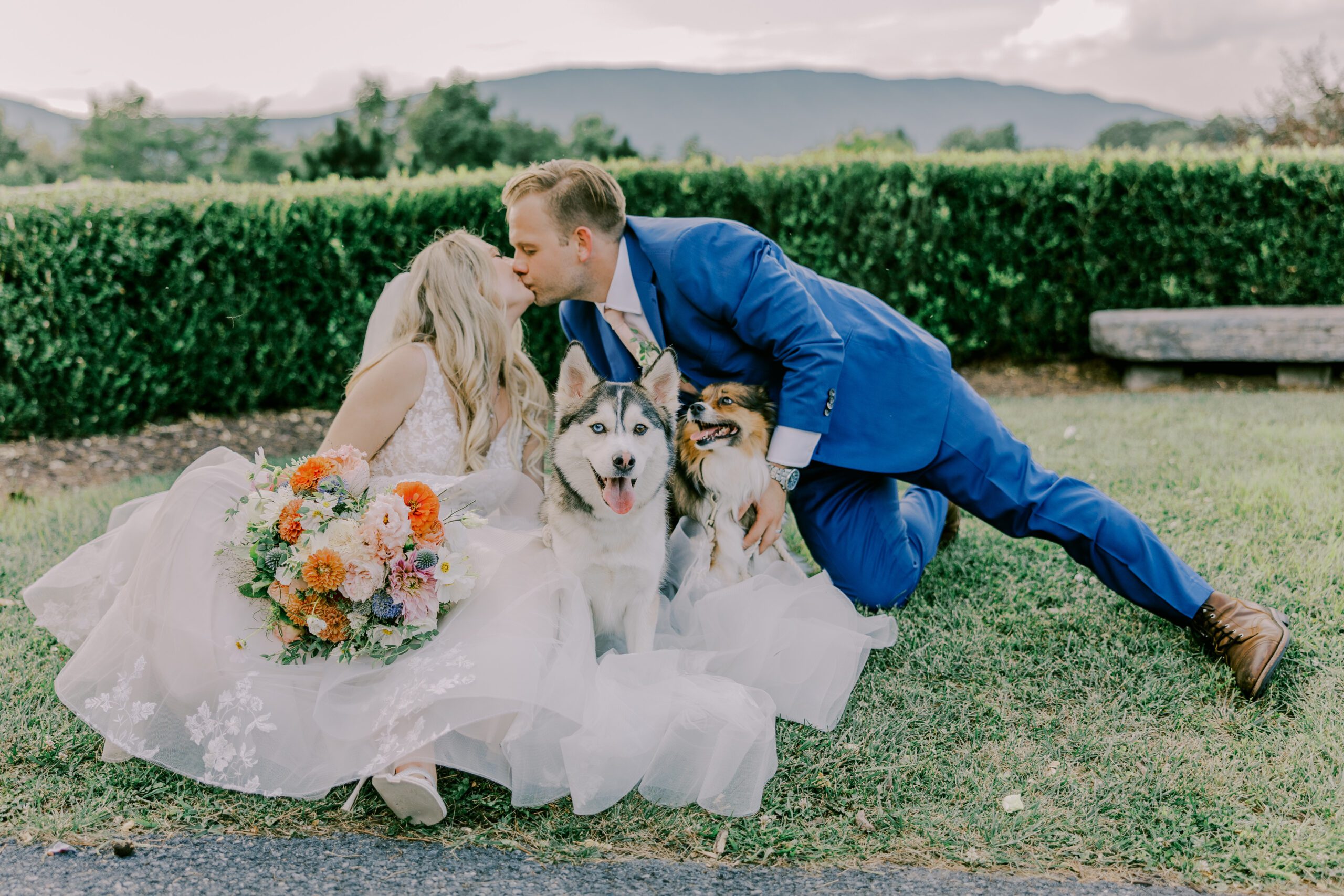 Bride and groom share a kiss while they crouch down with their two dogs