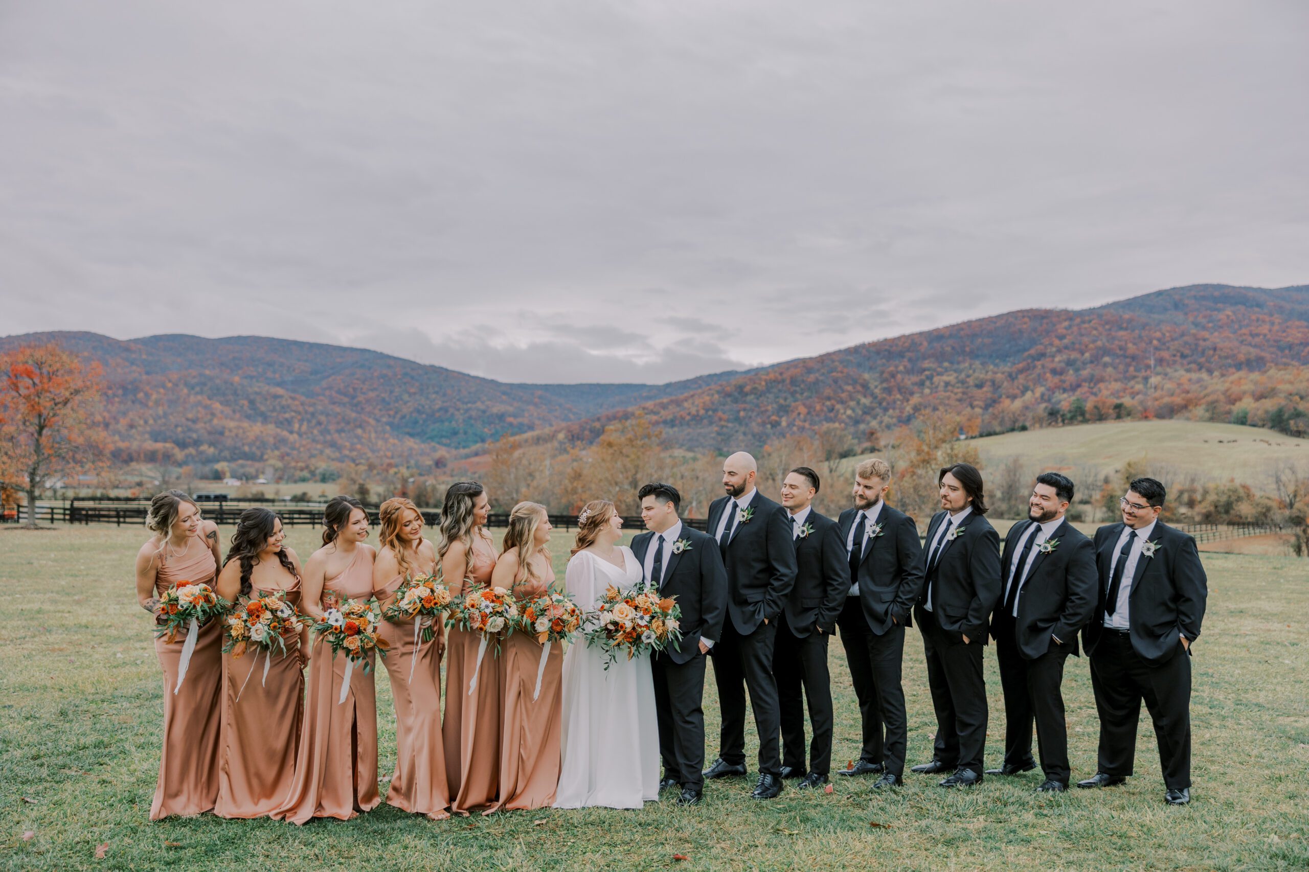 Bride and groom looking at each other surrounded by their bridesmaids and groomsmen on either side of them, mountain scenery in background