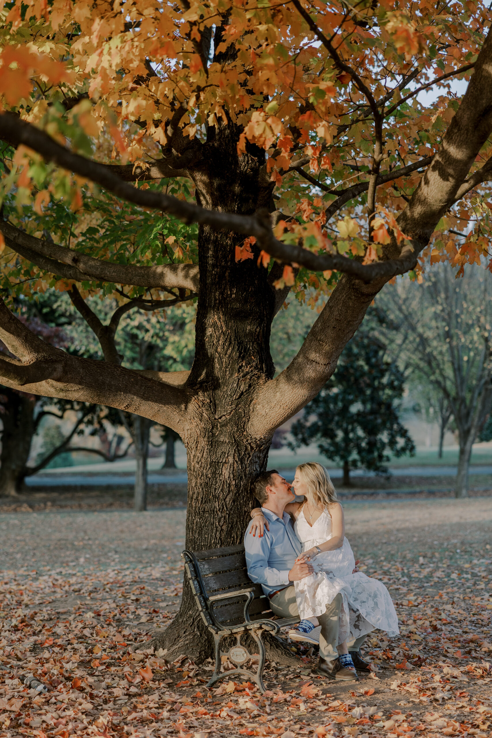 image of engaged couple sitting on bench sharing a ksis under a tree with orange leaves on it