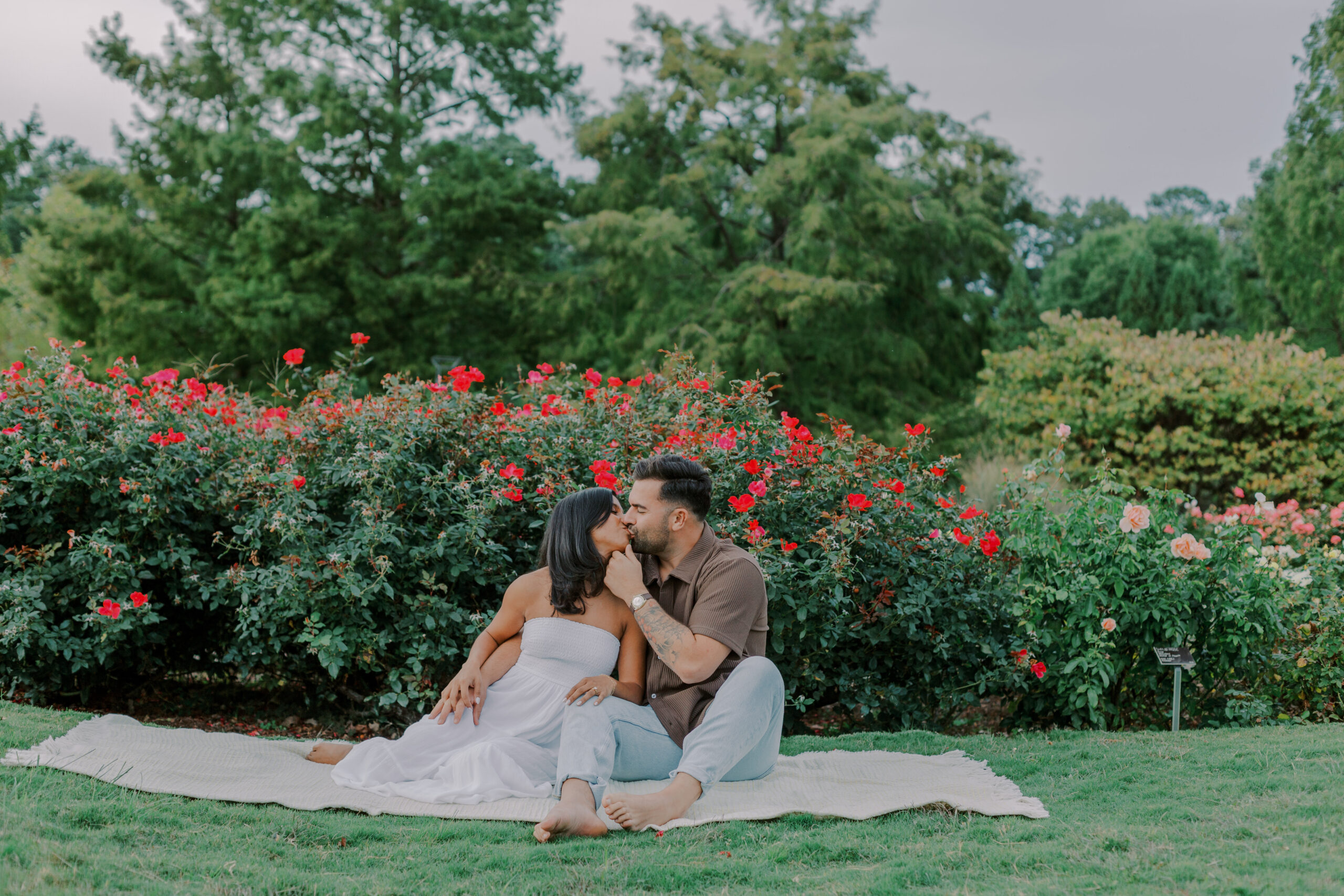 Engaged couple sitting on blanket in front of a large garden area with red flowers