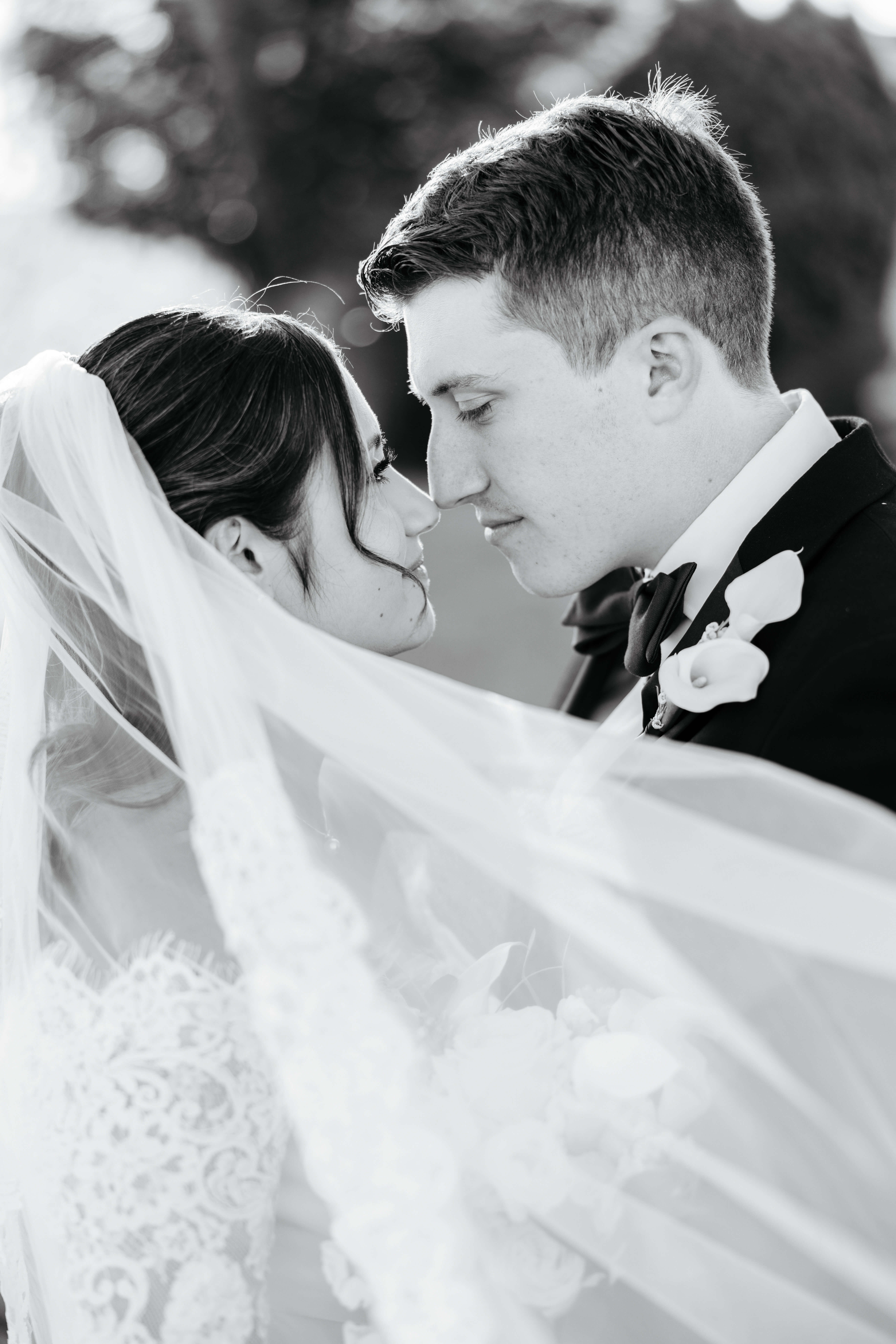 CrossKeys Vineyard Fall Wedding Photography 29 Black and white photo of bride and groom touching noses as bride's veil is draped infront of them
