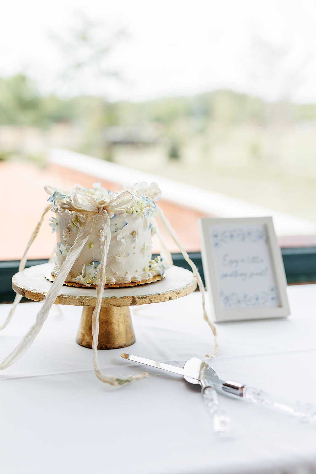Rassawek Vineyard Spring Wedding Photography 17 detail photo of small cake with ribbons and blue details